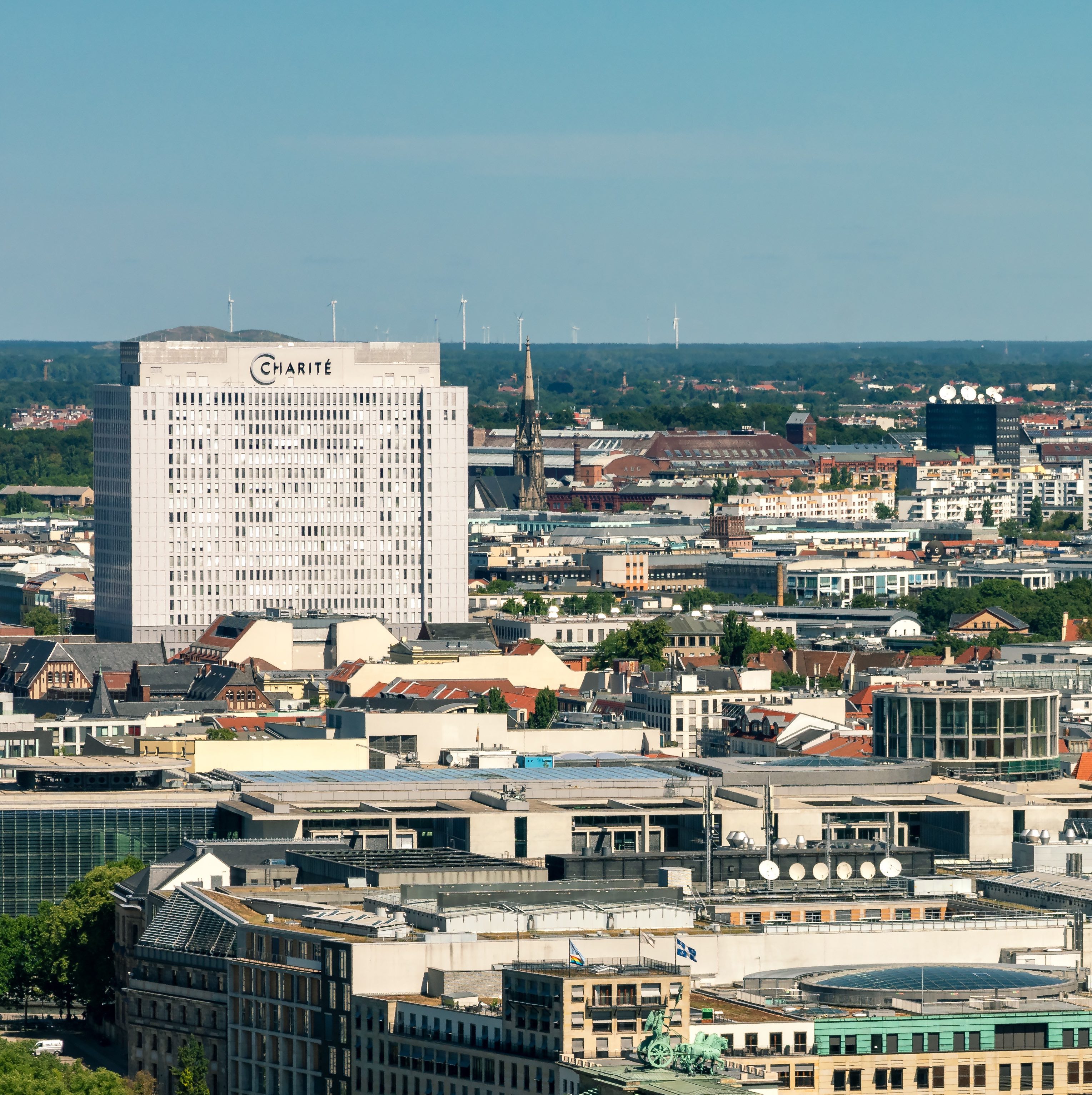 charite skyline